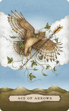 A crowned bird with vines carries an arrow and a feather in its beak, soaring before a cloud above mountains. Below, the card is labeled ACE OF ARROWS. Drawing inspiration from Tarot of the Woodland Wardens by Jessica Roux (Simon & Schuster; Mixed Media; 224 pages / English), this nature-themed tarot card elegantly reflects the harmony between wildlife and mysticism.