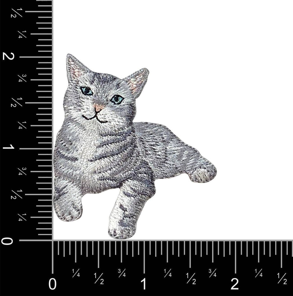 The Gray Tabby Cat Iron on Patch by Wholesale Applique features a lying tabby kitten design and measures about 2 inches wide by 2 inches tall, shown with rulers for scale. Perfect for pet and animal lovers.