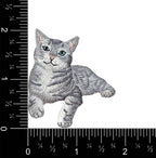 The Gray Tabby Cat Iron on Patch by Wholesale Applique features a lying tabby kitten design and measures about 2 inches wide by 2 inches tall, shown with rulers for scale. Perfect for pet and animal lovers.