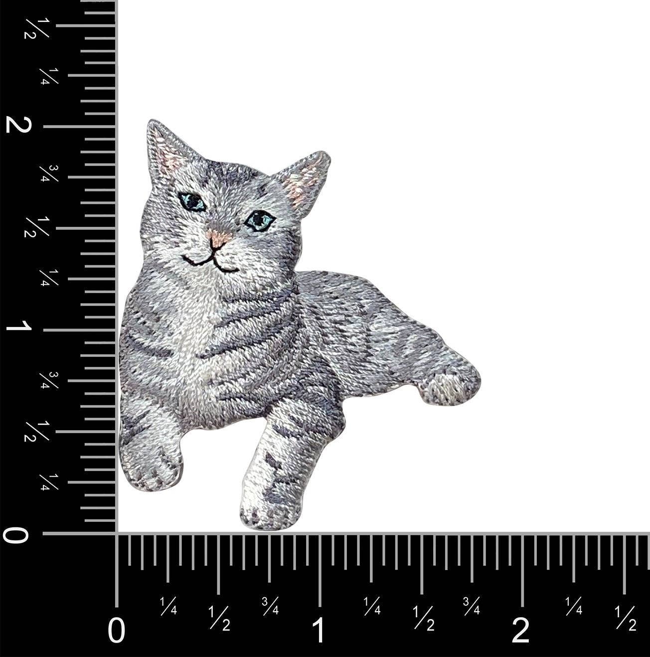 The Gray Tabby Cat Iron on Patch by Wholesale Applique features a lying tabby kitten design and measures about 2 inches wide by 2 inches tall, shown with rulers for scale. Perfect for pet and animal lovers.