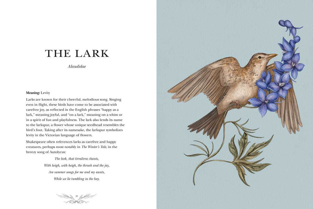 A detailed illustration of a brown lark flying by purple-blue flowers, shown on pale blue, appears in "Ornithography" by Jessica Roux (Simon & Schuster, hardcover, 224 pages), with poetic text and bird folklore featured on the left page.