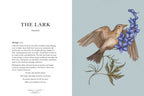 A detailed illustration of a brown lark flying by purple-blue flowers, shown on pale blue, appears in "Ornithography" by Jessica Roux (Simon & Schuster, hardcover, 224 pages), with poetic text and bird folklore featured on the left page.