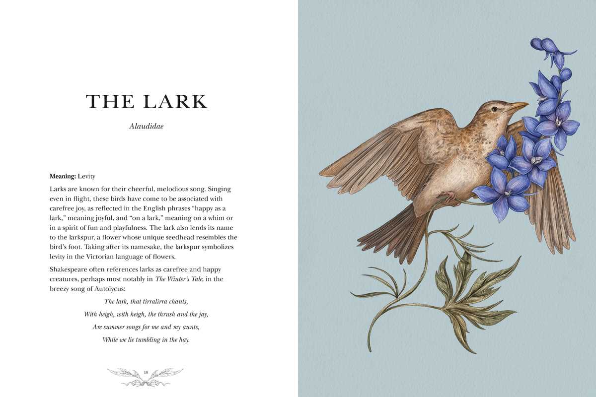 A detailed illustration of a brown lark flying by purple-blue flowers, shown on pale blue, appears in "Ornithography" by Jessica Roux (Simon & Schuster, hardcover, 224 pages), with poetic text and bird folklore featured on the left page.