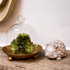 The Vagabond Vintage Cloche Candle Holder with Metal Plate: Gold pairs beautifully with a small succulent and a white hedgehog figurine for charming home decor on any wooden surface.