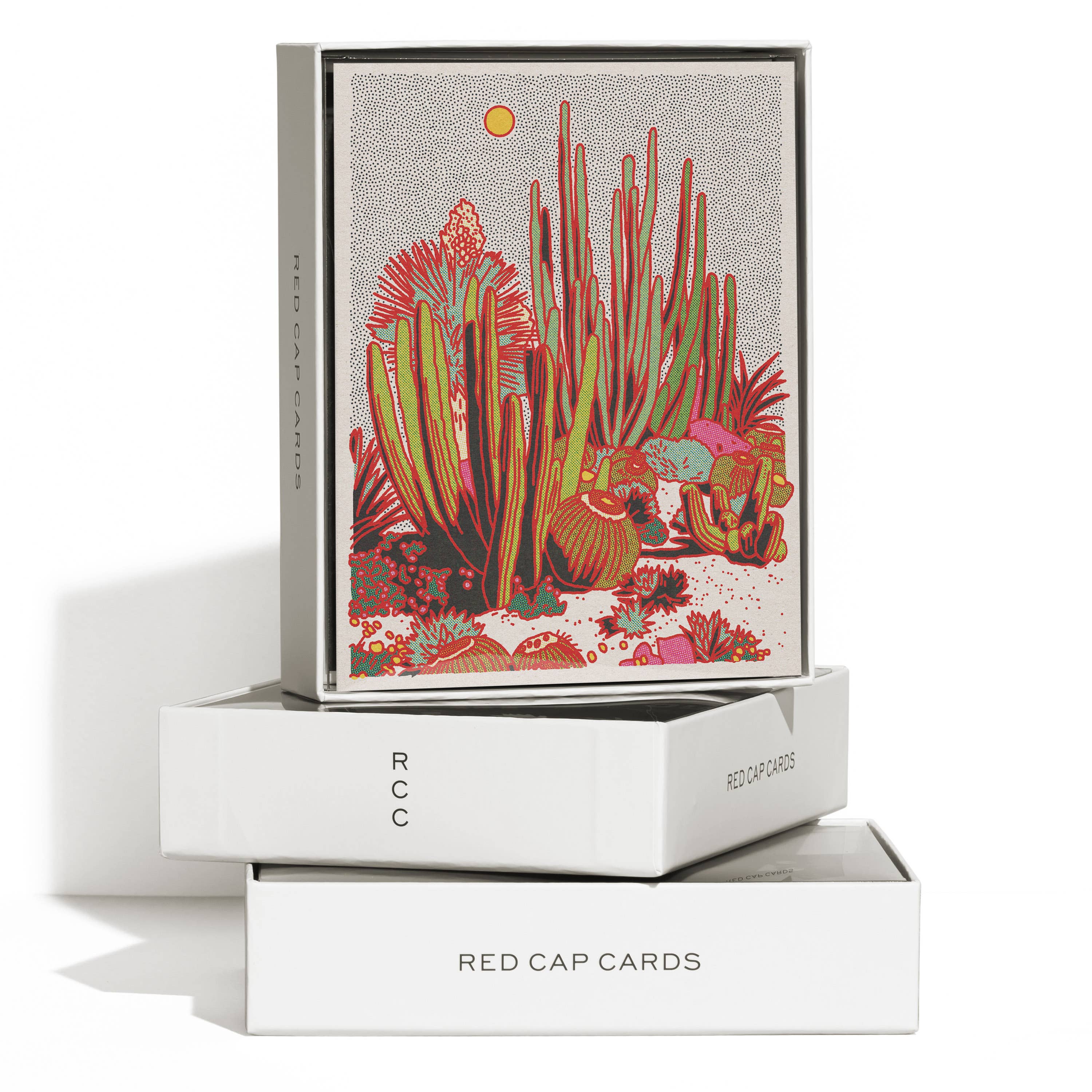 The Cactus Scene Everyday Greeting Card by Red Cap Cards stands upright in an open white box with branding, another closed box beneath. This colorful illustrated card is printed on heavyweight stock for a premium touch.