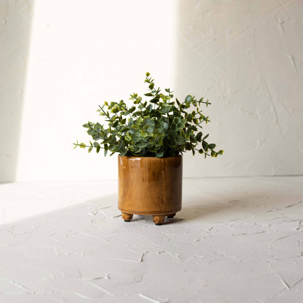 A small green succulent in the Foreside Home & Garden Glossy Brown Ceramic Planter Pot sits on a textured white surface, sunlight casting shadows on the wall behind it.
