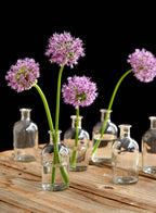 Five Jamali Garden Clear Medicine Bottle Bud Vases are arranged on wood, each filled with water. Three display purple allium flowers with round blooms, strikingly vibrant against a black background—an elegant decor accent.