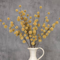A white ceramic pitcher displays several Ragon House Faux MUSTARD GLOBE THISTLE SPRAYS with round, fluffy yellow blooms against a gray textured background.