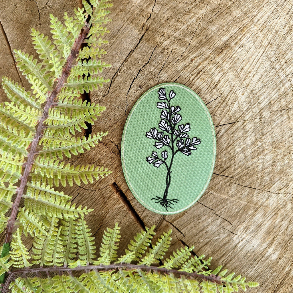 The “Iron-on patch | maidenhair fern” by ilikesara | art + goods rests on a tree stump beside a green embroidered flower patch and delicate fern leaves.