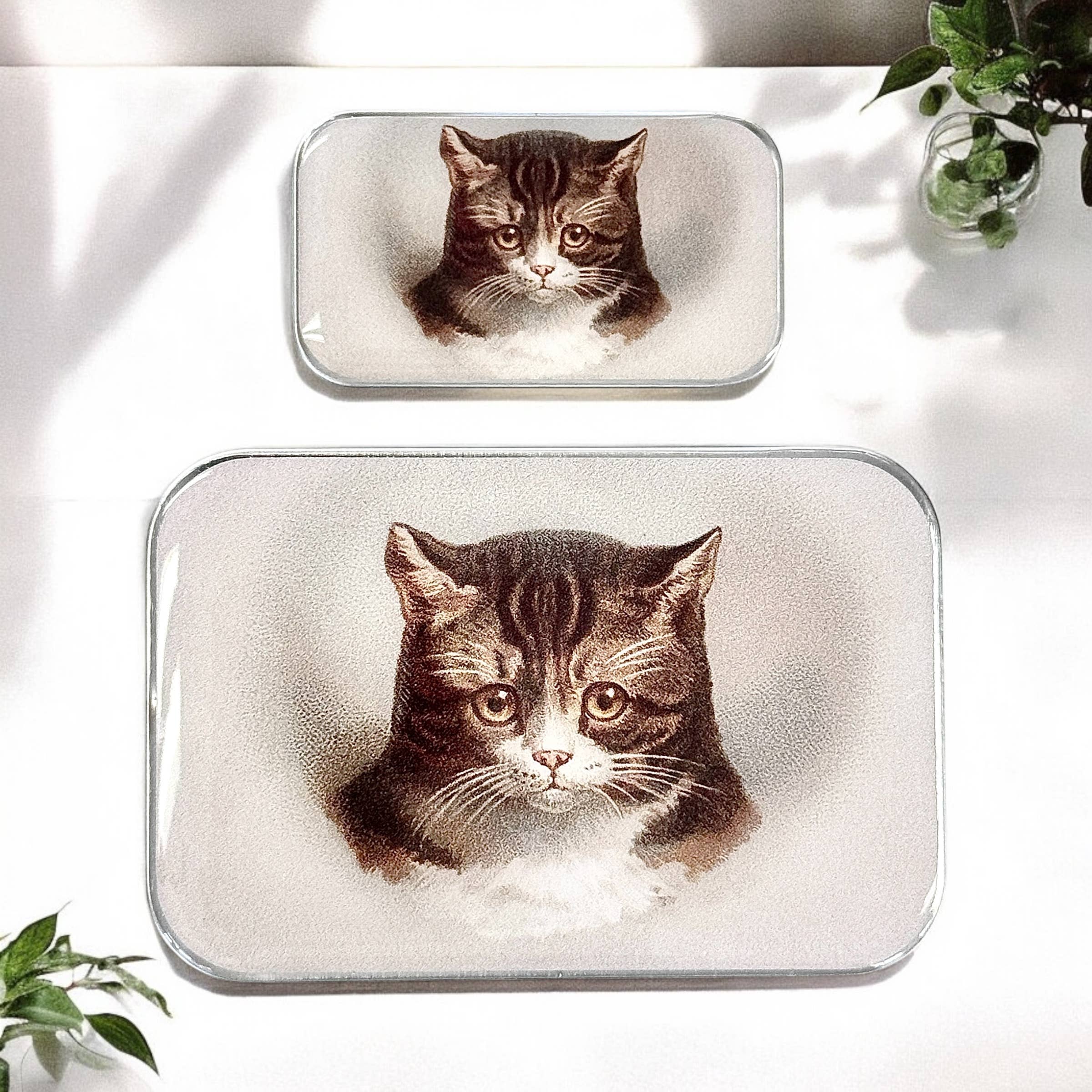 Two small, rectangular Cat Notions Tins from Firefly Notes, handcrafted with a glossy resin coating, each display a realistic illustration of Moody the Cat’s brown and white face. They are shown resting on a white surface with hints of green plants nearby.