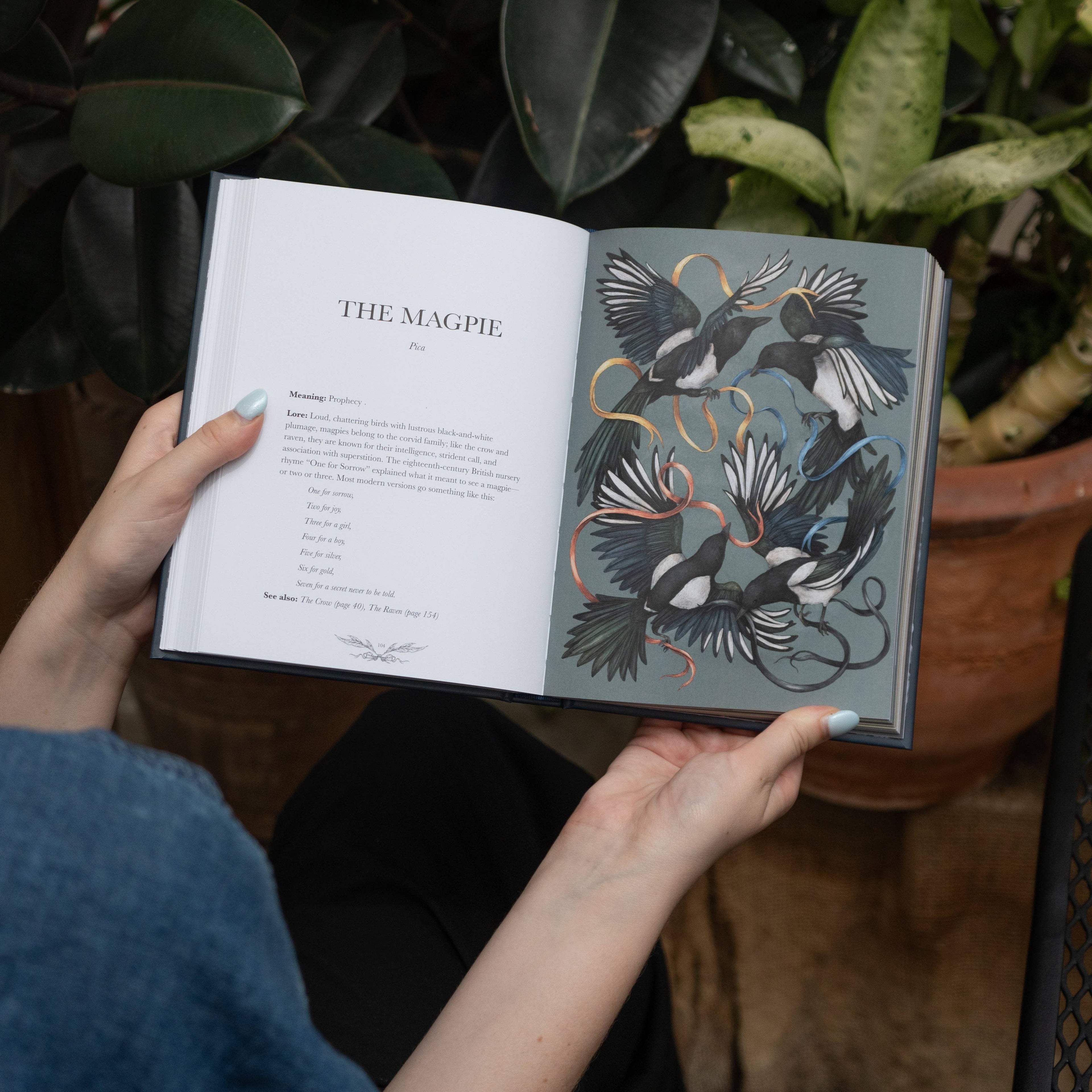 A person holds *Ornithography* by Jessica Roux (Simon & Schuster), opened to a poem called "The Magpie" and vivid illustrations of four magpies with leafy branches. Bird folklore inspires the artwork; potted plants appear in the background.
