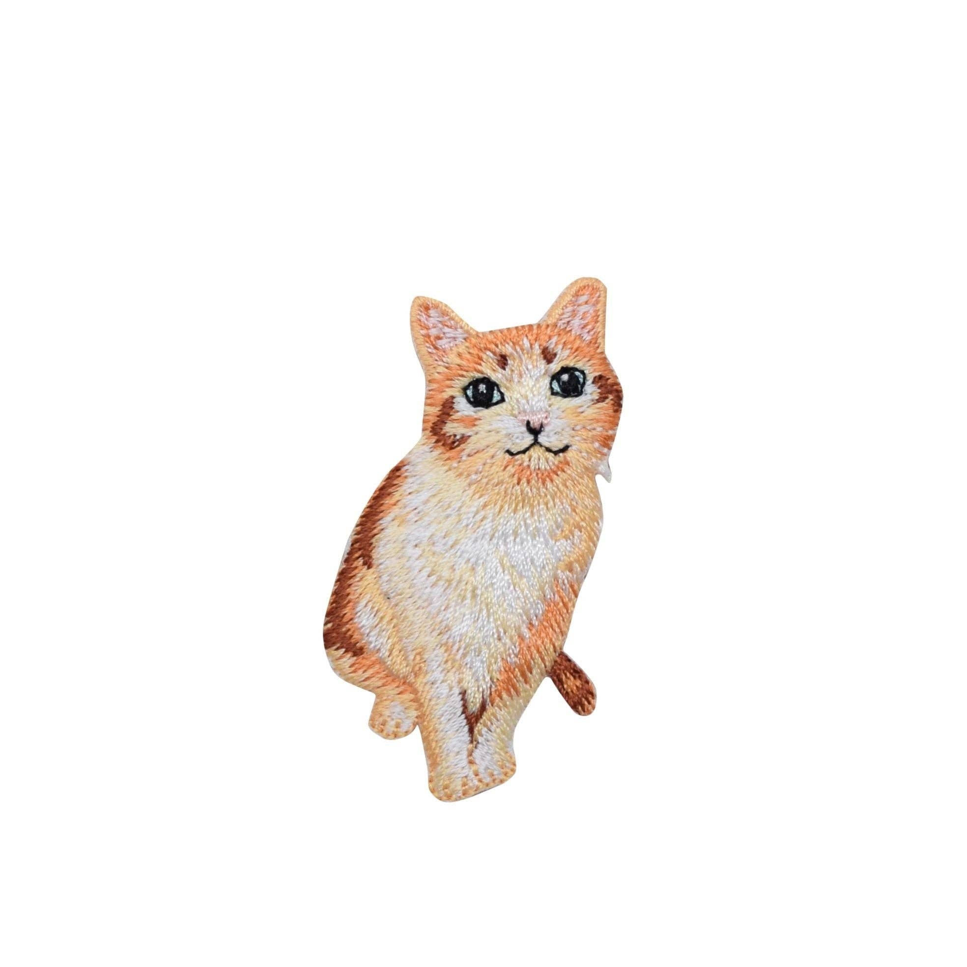 The Orange Tabby Cat embroidered iron on patch by Wholesale Applique features a realistic kitten sitting upright with big eyes and a slight smile, perfect for pet lovers and animal-themed projects.