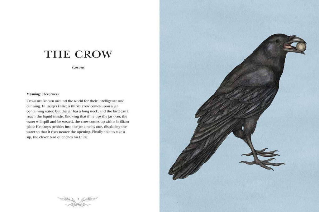 The hardcover "Ornithography" by Jessica Roux (224 pages, Simon & Schuster) features a black crow with a round object in its beak on a blue cover, with serif text sharing bird folklore and mythology highlighting crow intelligence.