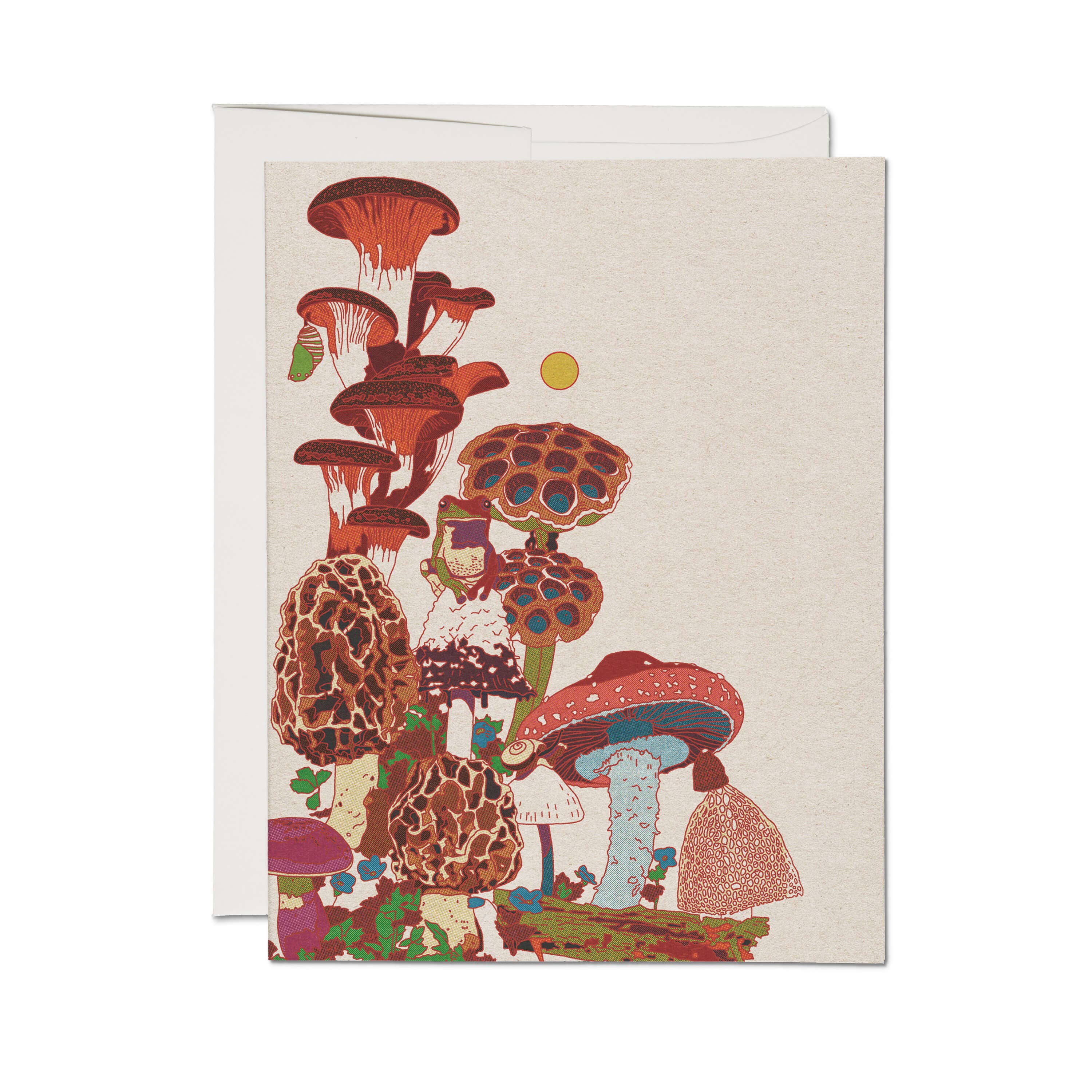 The Frog and Fungi greeting card: Single by Red Cap Cards features vibrant mushrooms on a textured beige background, printed in the USA on recycled paper. Includes envelope.