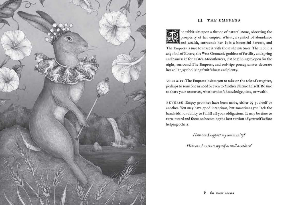 A crowned rabbit sits regally on a throne amid flowers and wheat in a field, holding a scepter. This grayscale illustration, inspired by Jessica Roux’s enchanting style, is featured in Tarot of the Woodland Wardens by Jessica Roux (Simon & Schuster). Accompanied by text about The Empress tarot card on the right page, it perfectly captures the nature-themed magic of this mixed media tarot deck (224 pages, English).