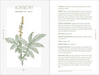 A detailed botanical illustration of agrimony, with yellow flower spikes and serrated leaves, features alongside its uses and origins in the "Complete Folk Herbal" by Rebecca Beyer (Hardcover, 384 pages, Simon & Schuster).