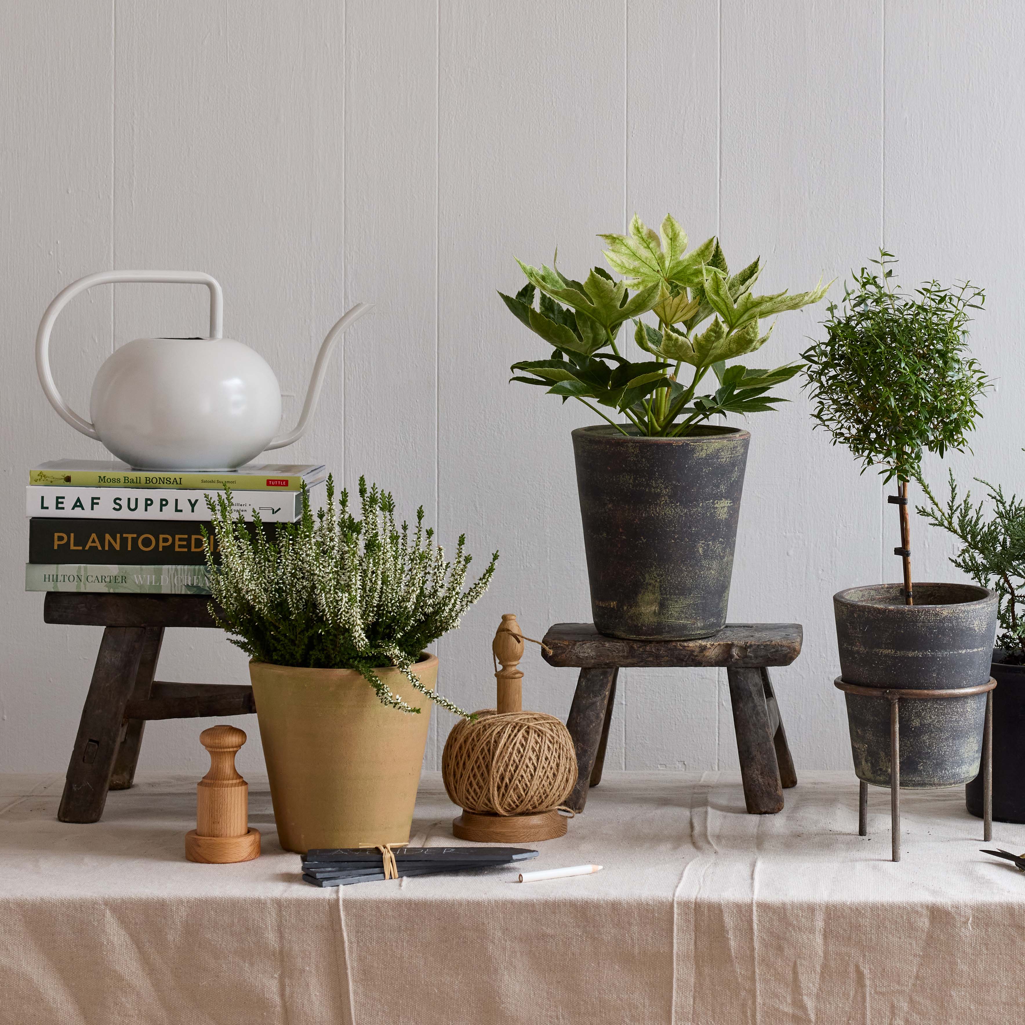A display of potted plants on handcrafted wooden stools and a table, featuring the Beatrix Watering Can in White from Bloomist, with gardening books, twine, and tools nearby against a light-colored wall.