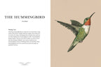 A detailed illustration of a flying green and red-throated hummingbird graces a beige backdrop. To the left, text from "Ornithography by Jessica Roux" (Simon & Schuster, Hardcover, 224 pages) explores bird mythology and symbolism.