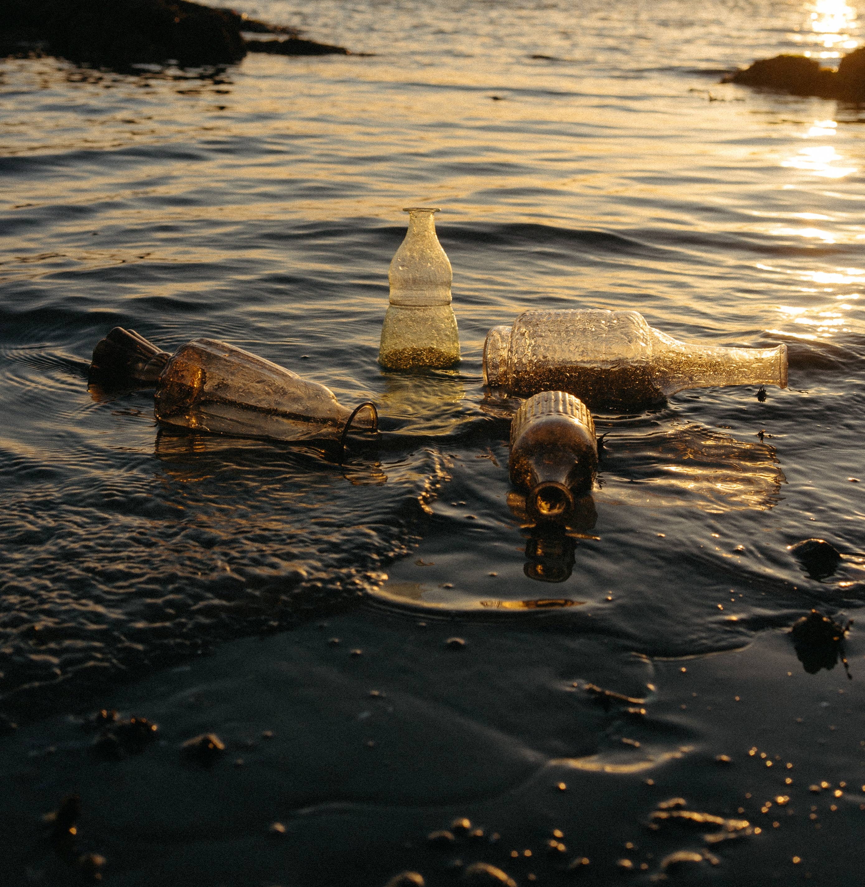 Four Indaba Trading Recycled Glass Bottle Vases, Clear, rest partially submerged in shallow shoreline water at sunset, with gentle waves and a golden reflection shimmering on the surface.
