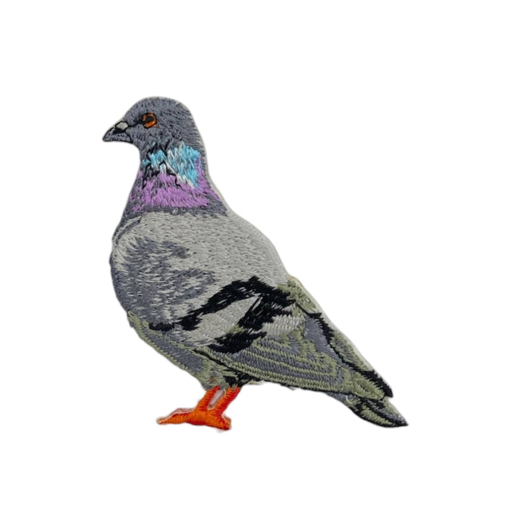 The Rock Dove Pigeon Iron on Patch by Wholesale Applique features gray feathers, black wing markings, iridescent purple/green neck, and orange feet—perfect for bird lovers. Displayed on a white background.