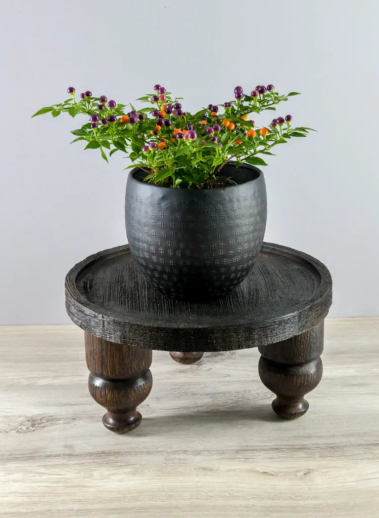 A black pot with a small pepper plant bearing purple and orange fruits sits on a Jamali Garden 14in Wide Banjara Reclaimed Look Deep Brown/Black Rugged Wood Stand, placed on a light wood surface against a pale gray background.