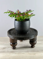 A black pot with a small pepper plant bearing purple and orange fruits sits on a Jamali Garden 14in Wide Banjara Reclaimed Look Deep Brown/Black Rugged Wood Stand, placed on a light wood surface against a pale gray background.