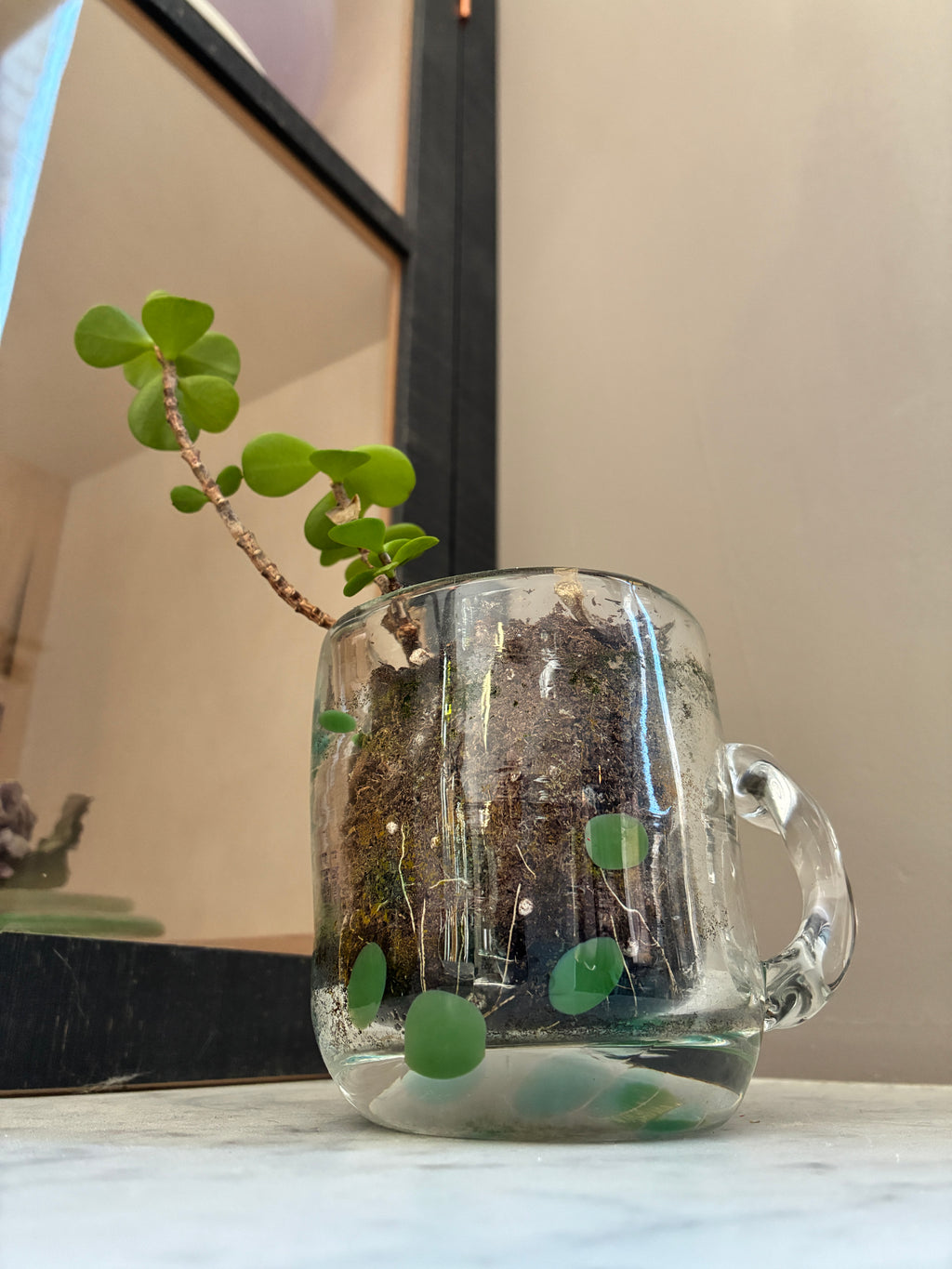 A small green plant grows in the Sam Lien • Handblown Glass Mug 1 by Thyne Goods, filled with soil and moss. This unique succulent planter adds Brooklyn Glass artistry to your space, set against a white surface and light beige wall.