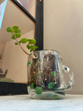 A small green plant grows in the Sam Lien • Handblown Glass Mug 1 by Thyne Goods, filled with soil and moss. This unique succulent planter adds Brooklyn Glass artistry to your space, set against a white surface and light beige wall.
