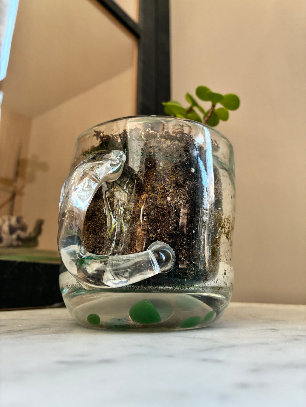 A small plant grows in a Thyne Goods Sam Lien • Handblown Glass Mug 1, filled with soil and water, on a marble surface. The clear handle and green dots add charm, with a blurred window and mirror in the background.