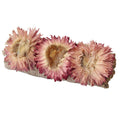The Benjamin International WHITE SAGE/FLOWERS - HEALING bundle features white sage wrapped with three pink strawflowers and tied with string—an ideal addition to healing rituals. Photographed on a white background.