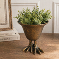 A leafy green plant in the Metal Bird Claw Pedestal Planter by Vagabond Vintage sits on a wooden table near stacked books and a framed picture.