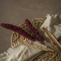 Two Ragon House 31" BURGUNDY SORGHUM SPRAY stems paired with beige grasses are displayed on a woven placemat and cream fringed cloth, set against a brown textured background.