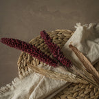 Two Ragon House 31" BURGUNDY SORGHUM SPRAY stems paired with beige grasses are displayed on a woven placemat and cream fringed cloth, set against a brown textured background.