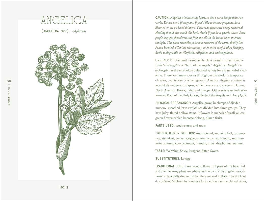 A botanical illustration of the Angelica plant appears on a white background, featured with detailed uses and history in "Complete Folk Herbal" by Rebecca Beyer (Hardcover, 384 pages, English, Simon & Schuster).