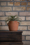 The Foreside Home & Garden Natural Hand Thrown Terracotta Vase with Handles rests on a dark wooden surface in front of a beige brick wall.