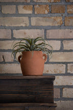 The Foreside Home & Garden Natural Hand Thrown Terracotta Vase with Handles rests on a dark wooden surface in front of a beige brick wall.