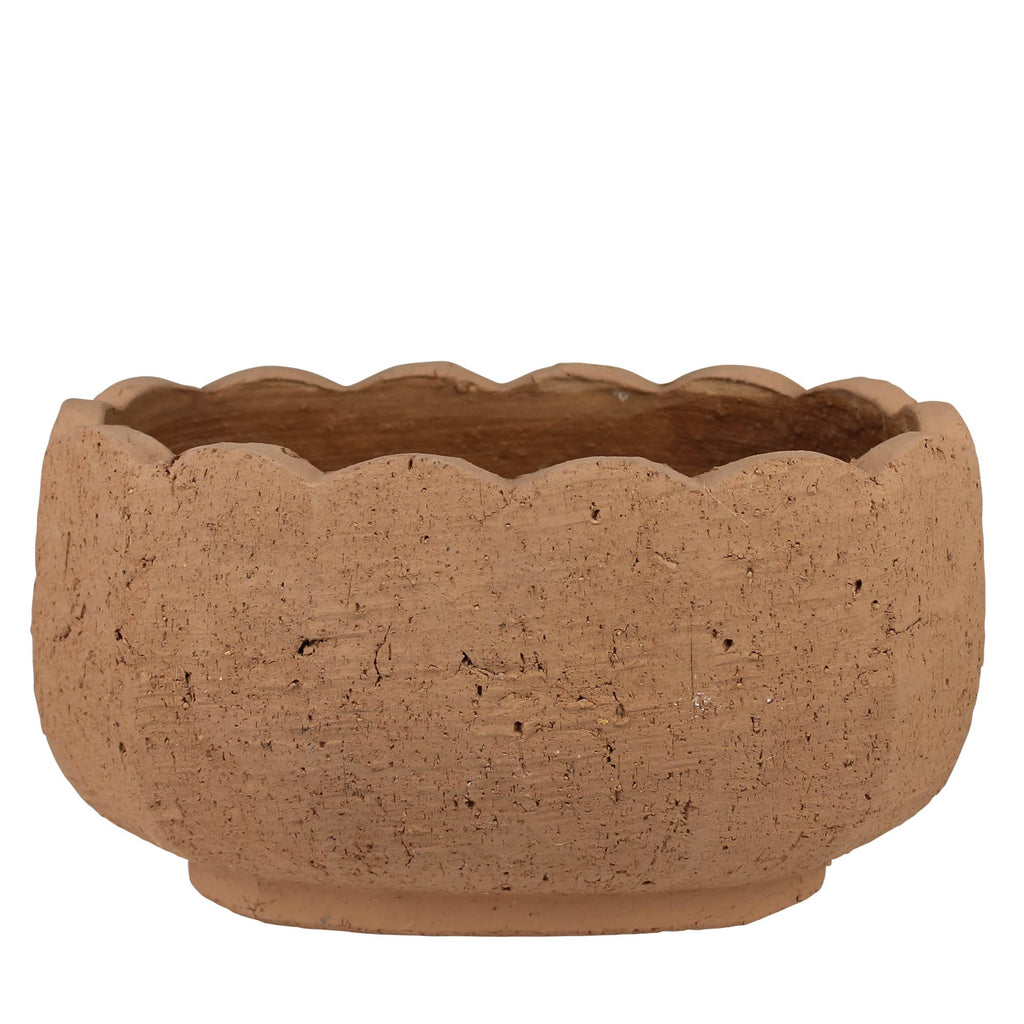 The HomArt Sophia Scalloped Planter in terra cotta cement features a round, shallow shape, scalloped edge, and an earthy finish that enhances its beautifully textured surface.