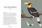 An illustration in *Ornithography* by Jessica Roux (Simon & Schuster) shows a Great Hornbill on a branch, with detailed yellow casque and feathers. The left page delves into hornbills, folklore, and bird mythology in this 224-page hardcover book.