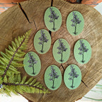 Eight oval iron-on patches from ilikesara | art + goods, each with a botanical illustration, are arranged on a tree stump slice. An Iron-on patch | maidenhair fern is displayed to the left of the other patches.