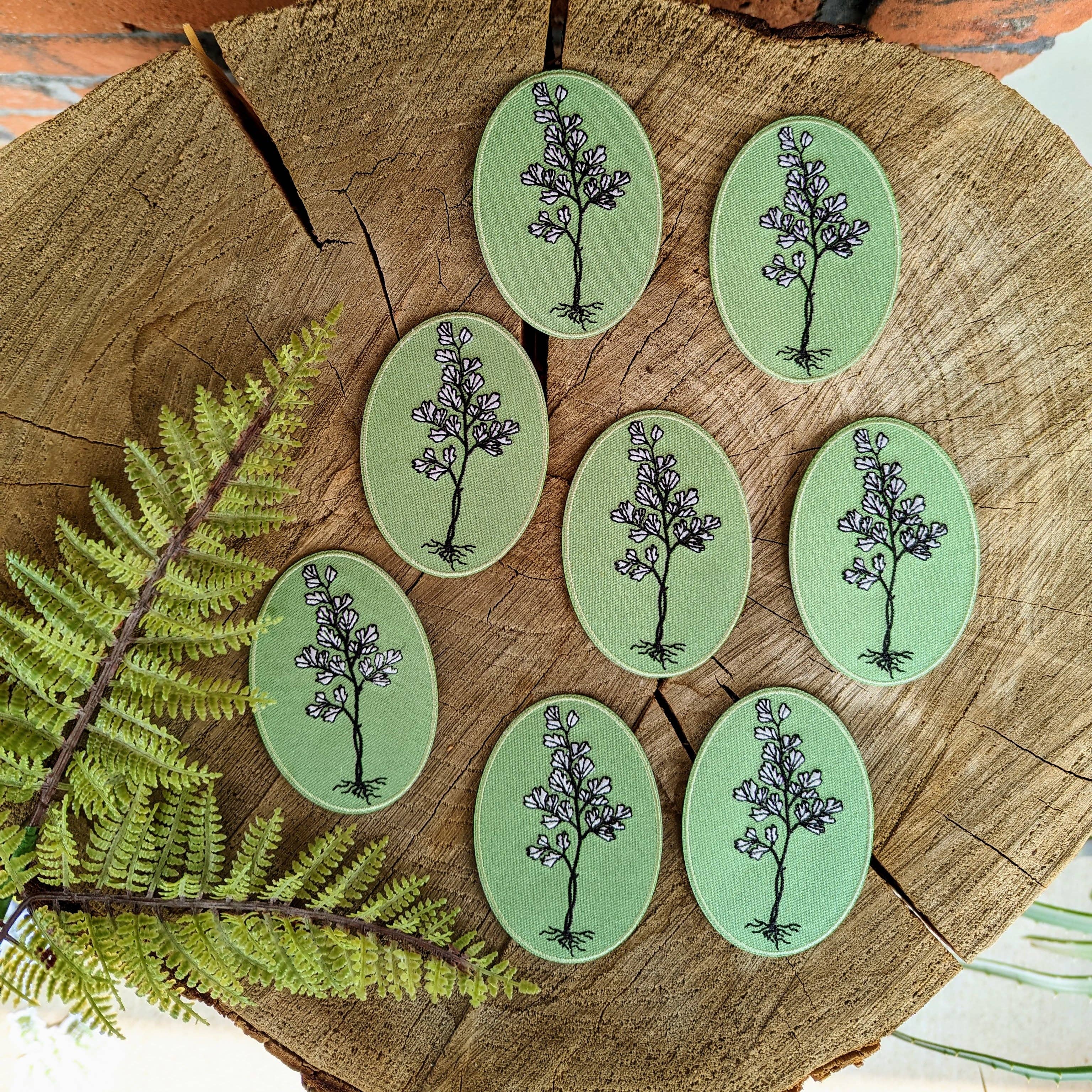 Eight oval iron-on patches from ilikesara | art + goods, each with a botanical illustration, are arranged on a tree stump slice. An Iron-on patch | maidenhair fern is displayed to the left of the other patches.