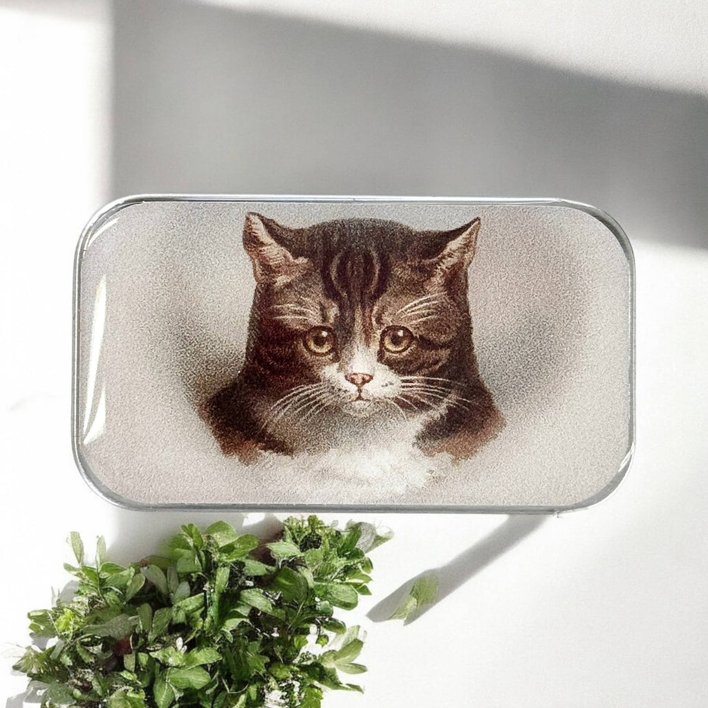 A Firefly Notes Cat Notions Tin (Small, Handcrafted, Resin Coated) with a realistic Moody the Cat illustration rests on a white surface near green leafy plants, sunlight casting soft shadows.