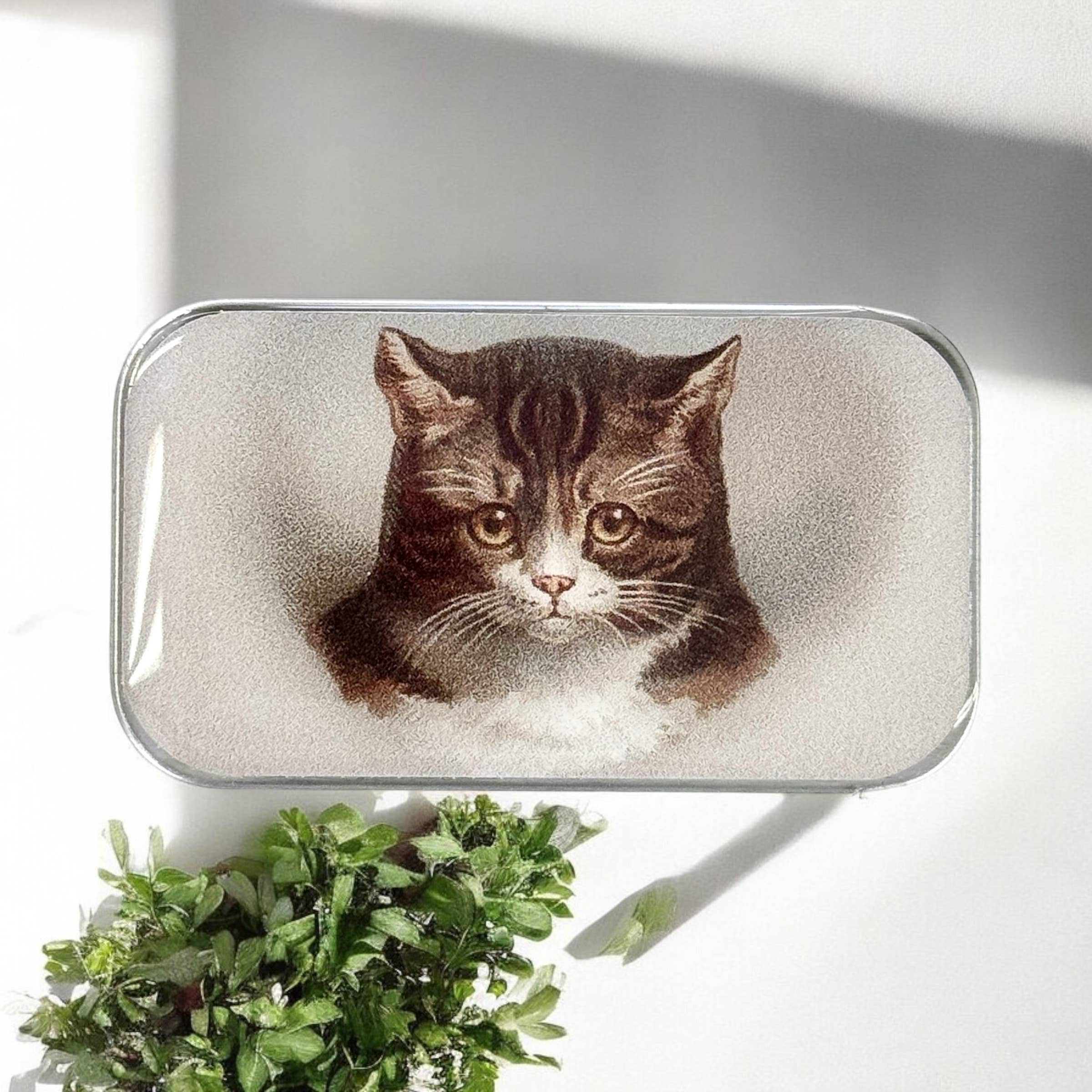 A Firefly Notes Cat Notions Tin (Small, Handcrafted, Resin Coated) with a realistic Moody the Cat illustration rests on a white surface near green leafy plants, sunlight casting soft shadows.