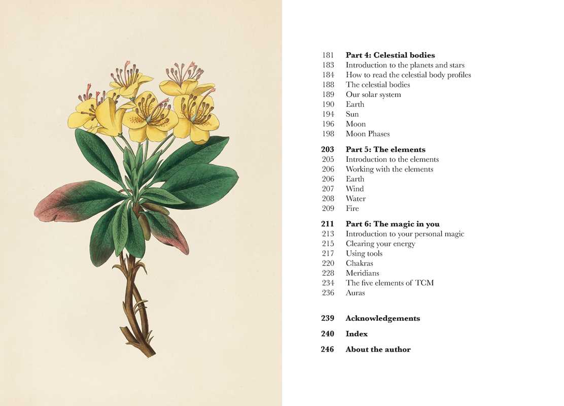 A botanical illustration of a yellow flowering plant with green leaves appears beside the table of contents from "A Practical Guide to Magic in Nature" by Jessica Lahoud (Hardcover, 256 pages, Simon & Schuster).