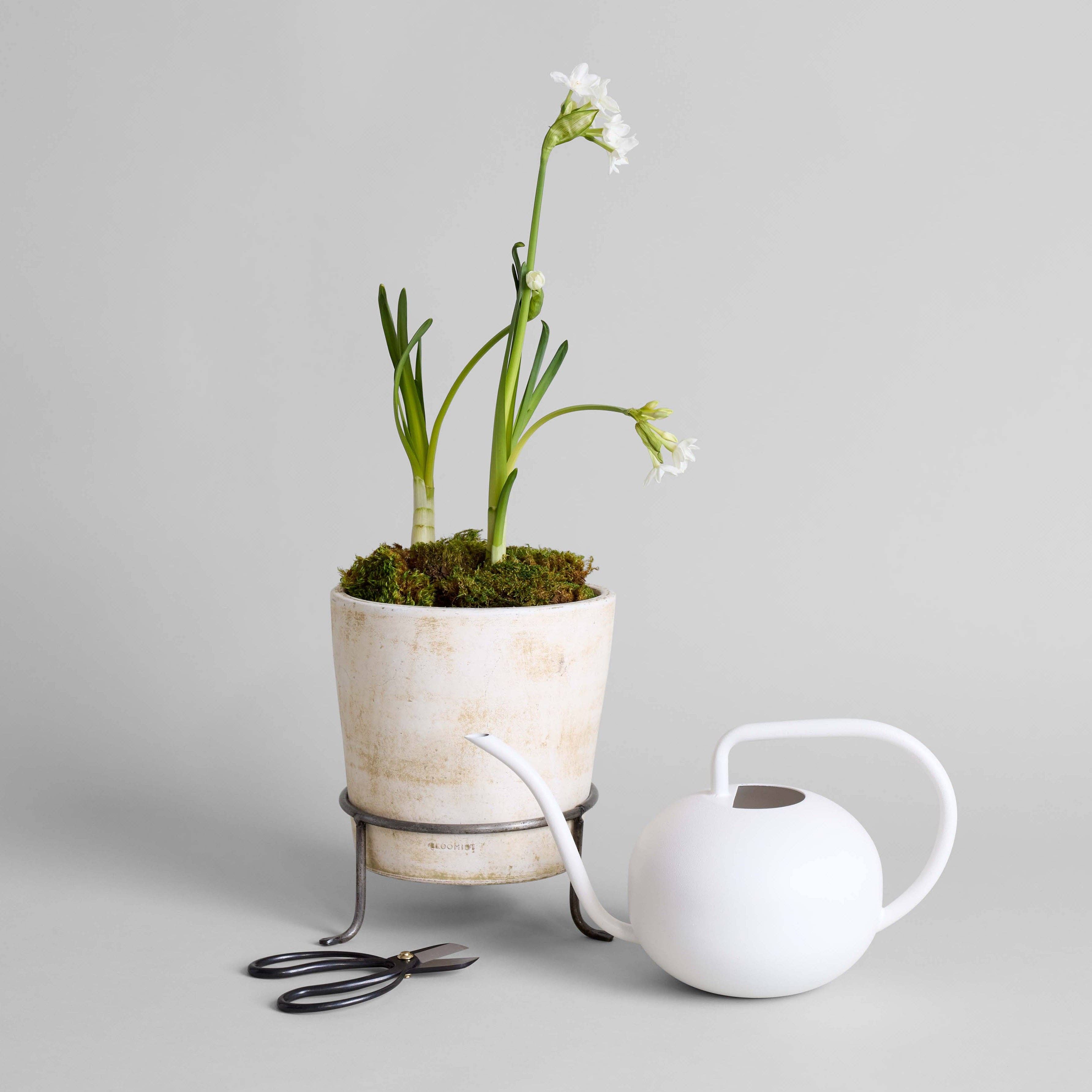 A potted plant with white flowers rests on a metal stand beside black garden shears and the Bloomist Beatrix Watering Can in white, all displayed on a plain light grey surface.