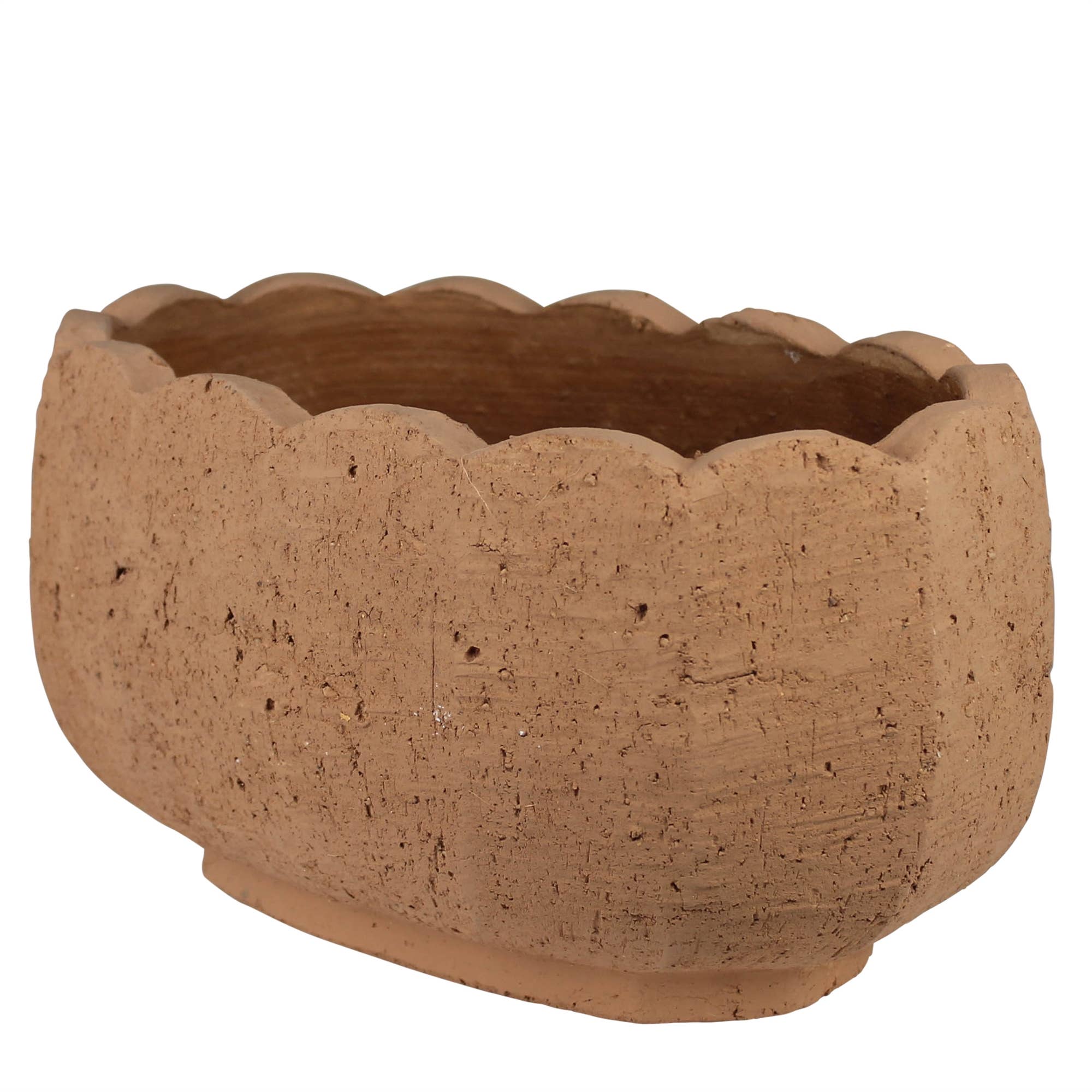 The HomArt Sophia Scalloped Planter features an oval shape, natural terracotta texture, and a distinctive scalloped rim.