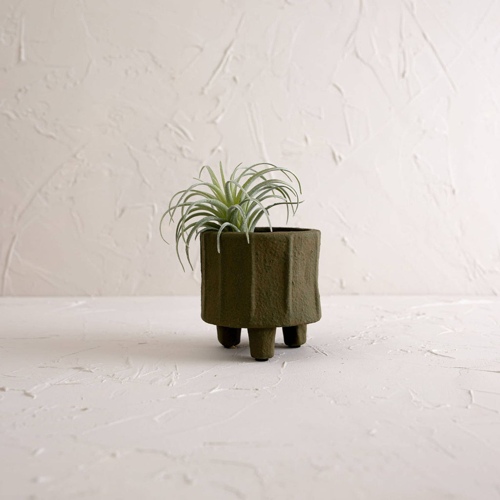 The Matte Green Ceramic Pot Small from Foreside Home & Garden brings natural charm to any room, perfect for showcasing lush green plants in style.