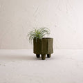 The Matte Green Ceramic Pot Small from Foreside Home & Garden brings natural charm to any room, perfect for showcasing lush green plants in style.