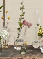The Clear Medicine Bottle Bud Vase by Jamali Garden displays assorted flowers—white hydrangeas, yellow billy balls, pink fluffy blooms, and green foliage—on a rustic wood surface with a beige paneled wall backdrop.