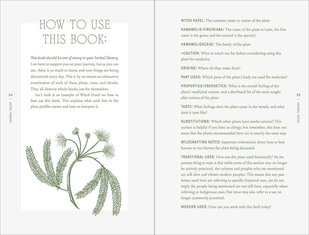 A spread from "Complete Folk Herbal by Rebecca Beyer" (Simon & Schuster) shows how to use this folk herbal, with an illustration of witch hazel's green leaves and yellow flowers beside key botanical terms. Hardcover; 384 pages; English.
