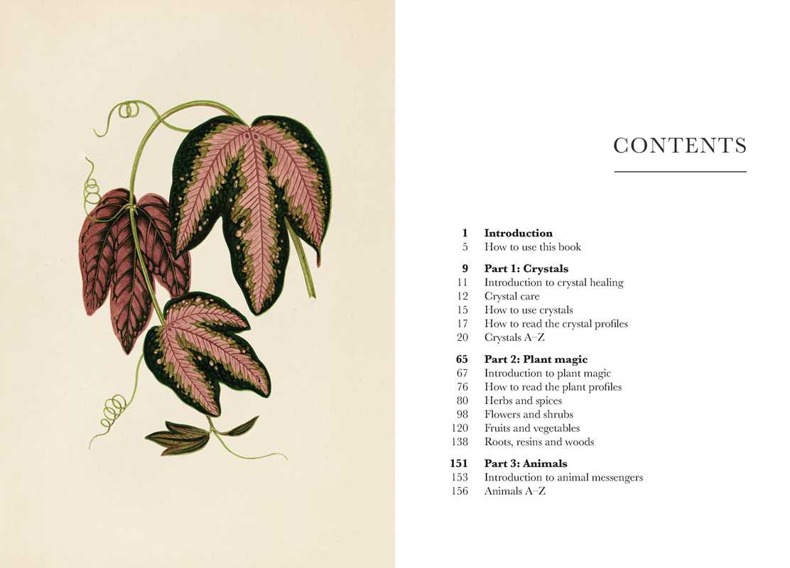 On the left is a vintage botanical illustration of pink and green leaves; on the right, the Contents page of "A Practical Guide to Magic in Nature" by Jessica Lahoud (Simon & Schuster) outlines crystals, plants, plant magic, correspondences, animals, and more.